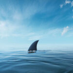 A shark fin emerging from calm ocean waters under a blue sky