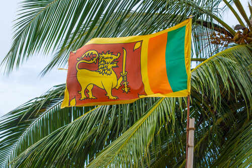 Sri Lankan flag waving amidst palm trees