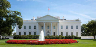 White House with fountain and flowers in front