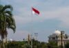 Indonesian flag waving in front of a building and palm trees