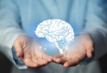 Brain Chips Invade Homes—Who’s Protecting Your Mind? Hands holding a holographic brain visualization