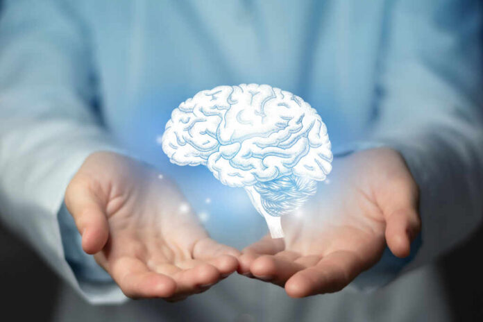 Hands holding a holographic brain visualization