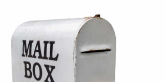 Postal worker loading mail into a blue USPS collection box