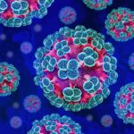 hantavirus