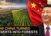 Green Mirage? China’s Billion-Tree Bet Backfires China Planted 66 Billion Trees, Now Scientists Reveal These Trees Are Outgrowing Natural Forests!