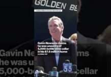 Gavin Newsom claims he was unaware of 5,000-bottle wine cellar in his $7.5 million home
