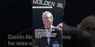 Gavin Newsom claims he was unaware of 5,000-bottle wine cellar in his $7.5 million home