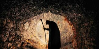 A silhouette of a mysterious figure with a walking stick standing in a dark cave surrounded by overgrown vegetation