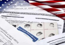 ICE Grabs Repeat Offender Tied To Marine’s Death U.S. immigration and naturalization documents with American flag