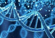 Founding Father Scandal: Did Jefferson Father Hemings’ Children? DNA double helix with glowing particles