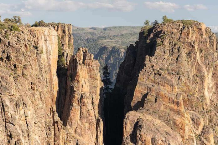 Steep canyon cliffs with a narrow chasm and scattered pines