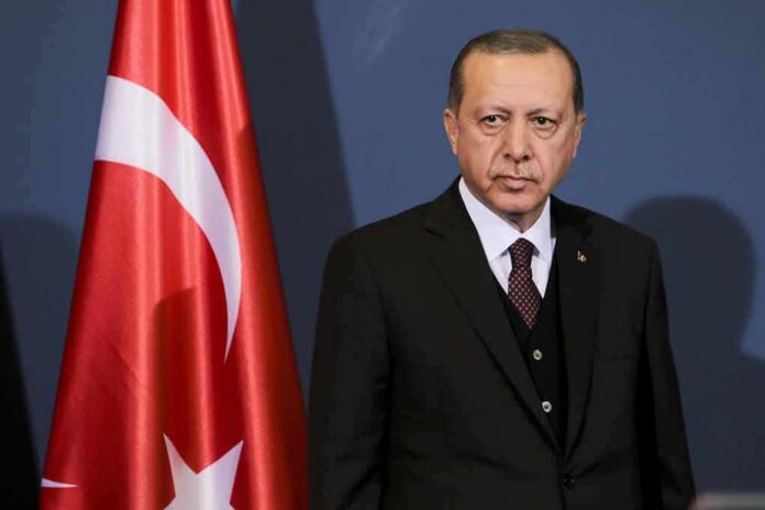 Recep Tayyip Erdoğan standing beside a Turkish flag