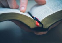 Hand holding an open book with a finger pointing at text